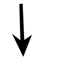 J A N P H I L I P
W E L C H E R I N G