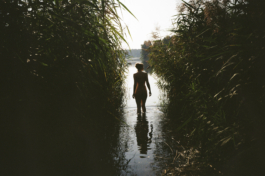 J A N  P H I L I P  
W E L C H E R I N G