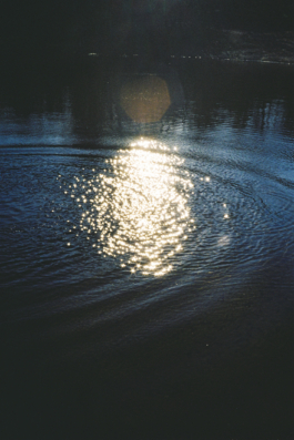 J A N  P H I L I P  
W E L C H E R I N G