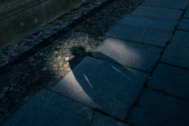 J A N  P H I L I P  
W E L C H E R I N G