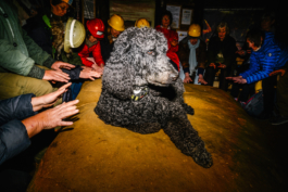 J A N  P H I L I P  
W E L C H E R I N G