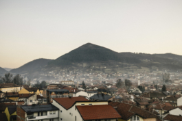 J A N  P H I L I P  
W E L C H E R I N G