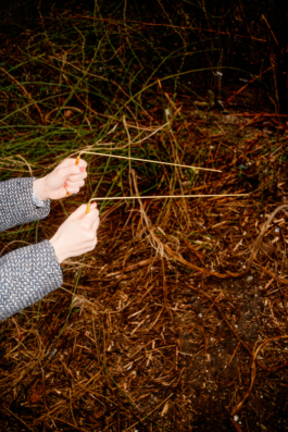 J A N  P H I L I P  
W E L C H E R I N G