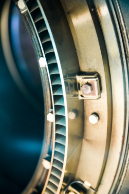 J A N  P H I L I P  
W E L C H E R I N G