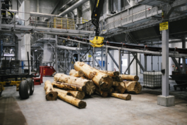 J A N  P H I L I P  
W E L C H E R I N G