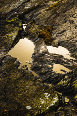 J A N  P H I L I P  
W E L C H E R I N G