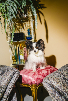 J A N  P H I L I P  
W E L C H E R I N G