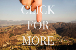 J A N  P H I L I P  
W E L C H E R I N G