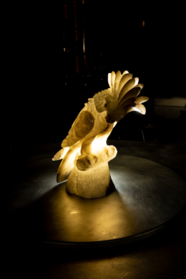 J A N  P H I L I P  
W E L C H E R I N G