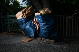 J A N  P H I L I P  
W E L C H E R I N G