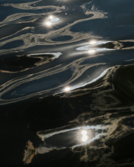 J A N  P H I L I P  
W E L C H E R I N G