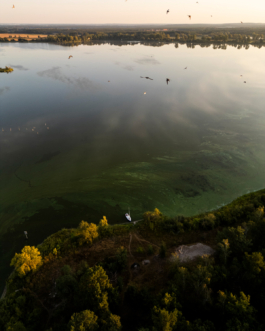 J A N  P H I L I P  
W E L C H E R I N G