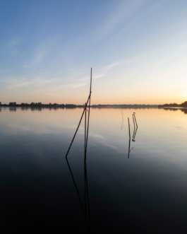 J A N  P H I L I P  
W E L C H E R I N G