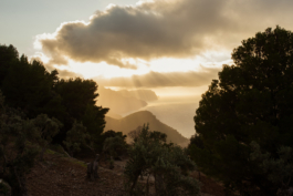 J A N  P H I L I P  
W E L C H E R I N G