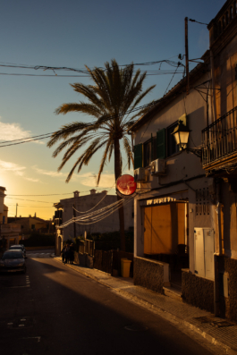 J A N  P H I L I P  
W E L C H E R I N G