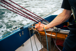 J A N  P H I L I P  
W E L C H E R I N G