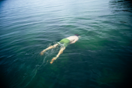 J A N  P H I L I P  
W E L C H E R I N G