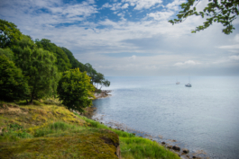 J A N  P H I L I P  
W E L C H E R I N G