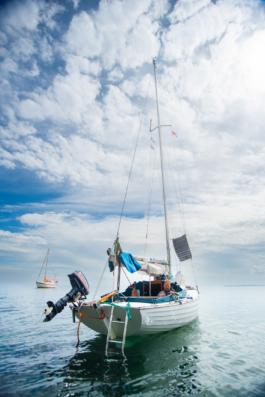 J A N  P H I L I P  
W E L C H E R I N G