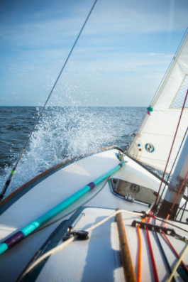 J A N  P H I L I P  
W E L C H E R I N G