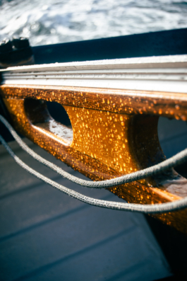 J A N  P H I L I P  
W E L C H E R I N G